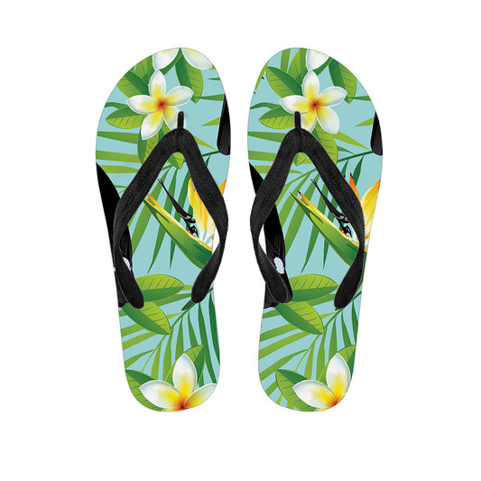 Tropical Paradise: Hawaiian Keel-Billed Toucan Print Flip Flops - 1